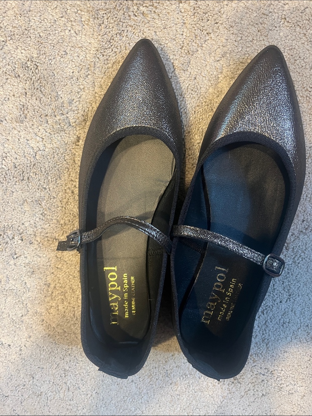 Maypol anthropology leather painted metallic Mary Jane Flatts size 39.